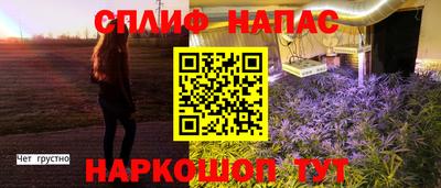 индика Беслан