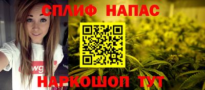 индика Беслан