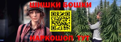 индика Беслан